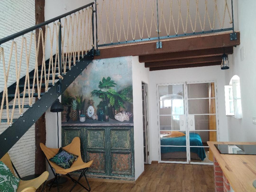 Appartement - Begane Grond