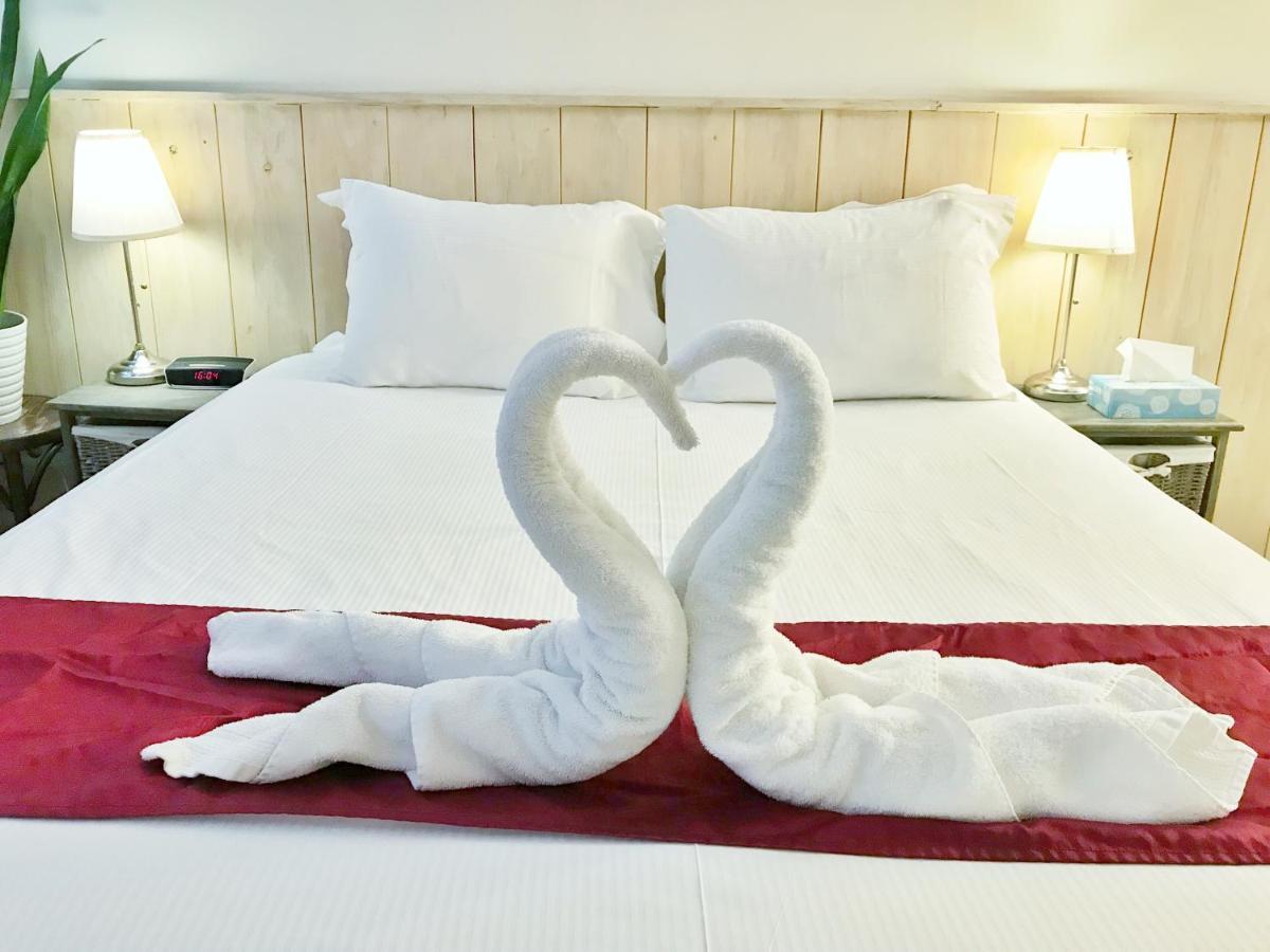 Deluxe Studio met Queensize Bed