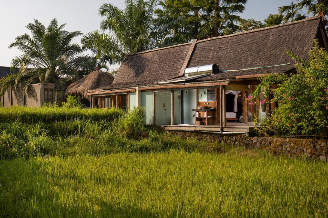 One Bedroom Suite Rice paddy View & Benefit
