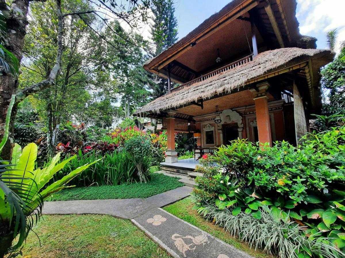 Superior garden view