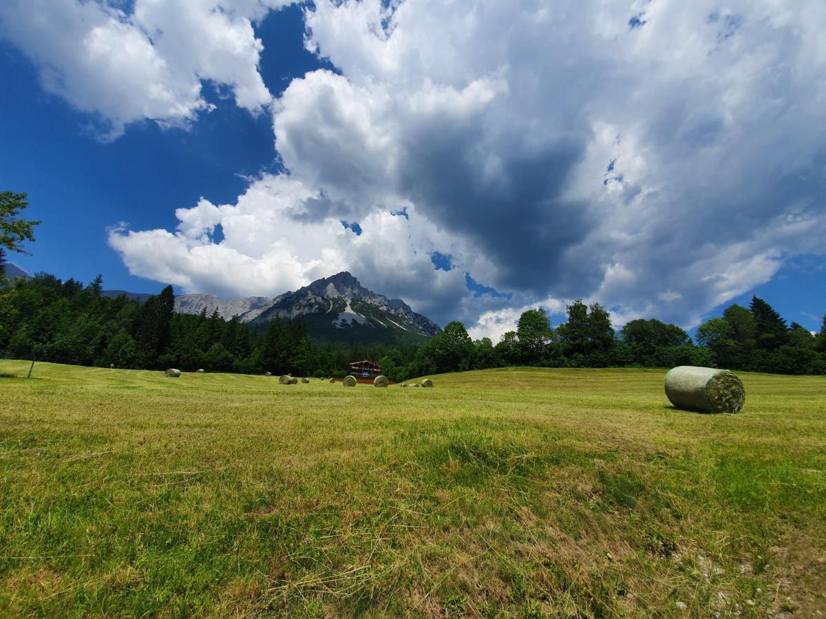 Studio Mountain View