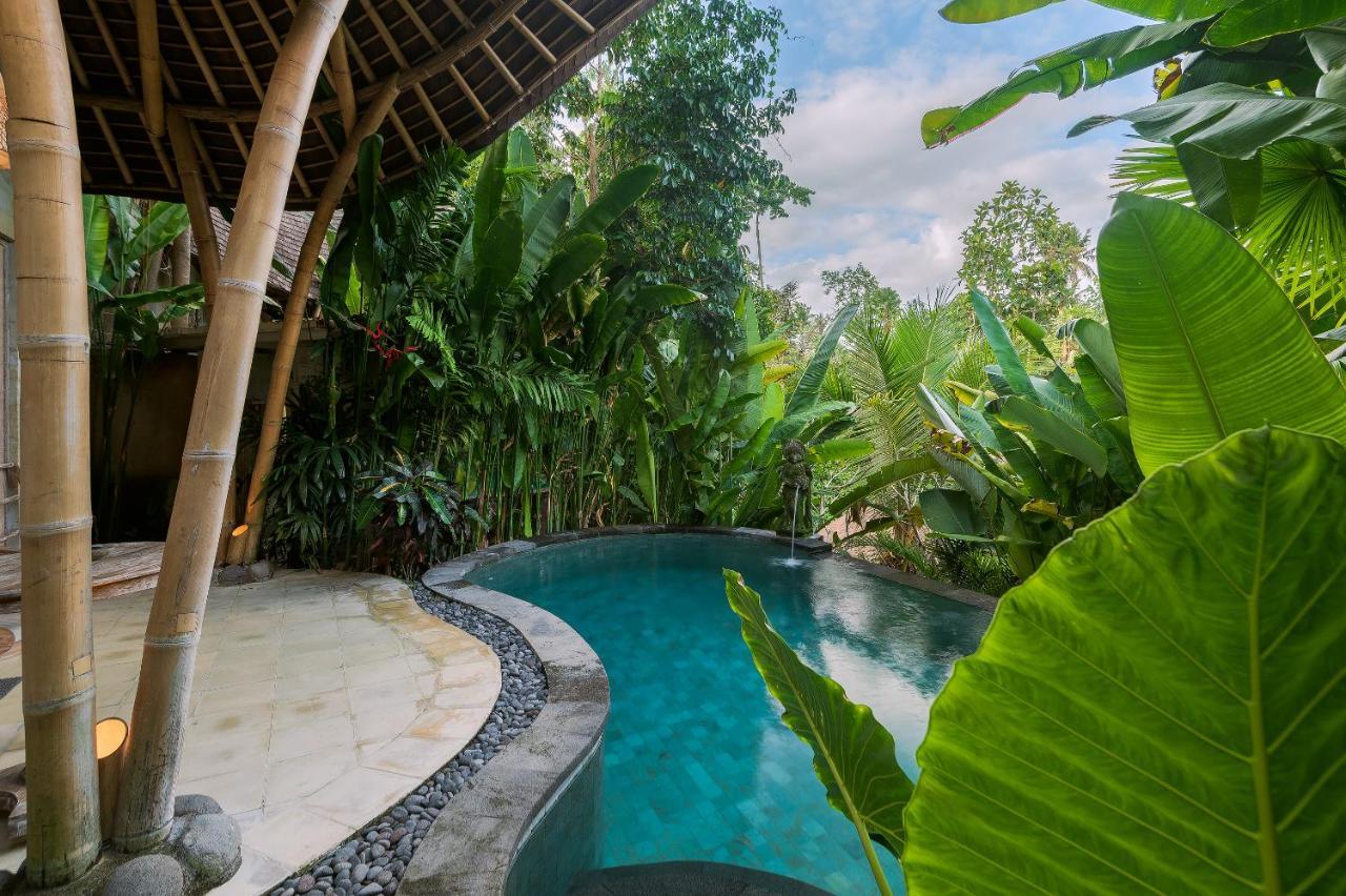 Ubud Pool Suite Daily Afternoon Tea Scheduled Activities