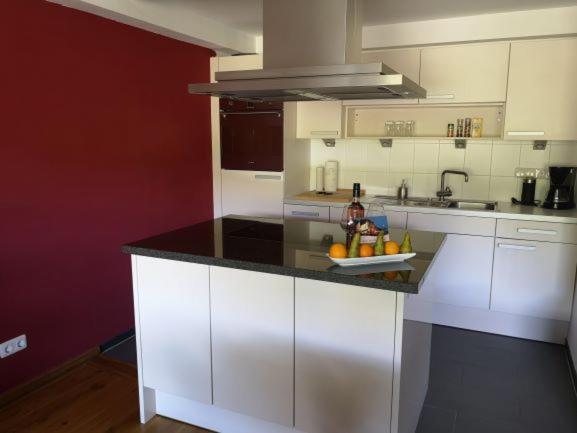 Appartement met Uitzicht op het Meer (Gerenoveerd)