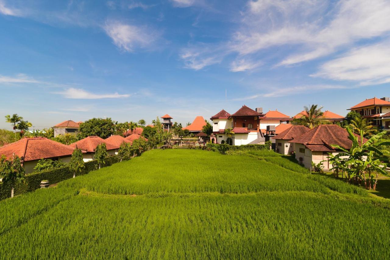 Suite Garden View