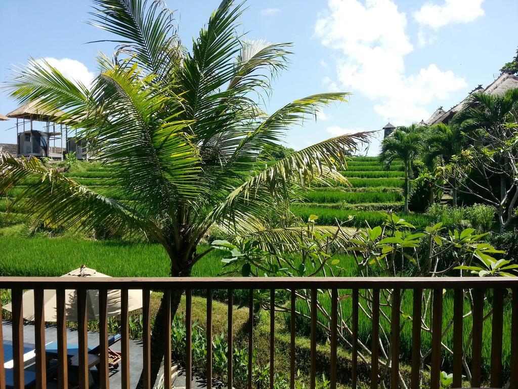 Retreat Deluxe Double Room Pool View