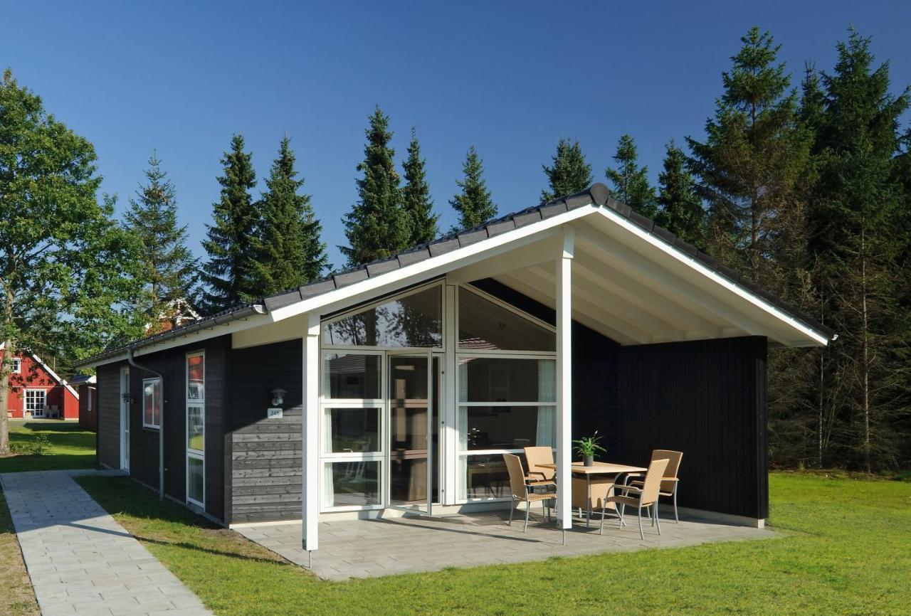 Classic Plus Vakantiehuis (4 volwassenen)