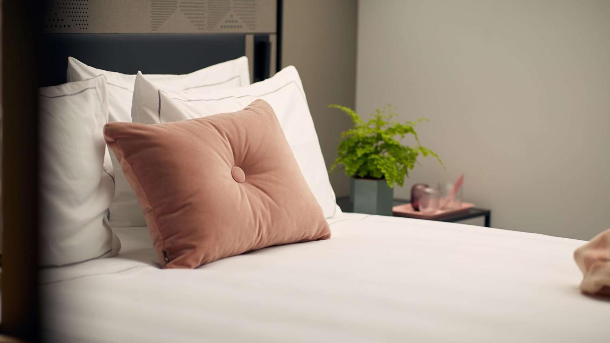 Studio met Kingsize Bed