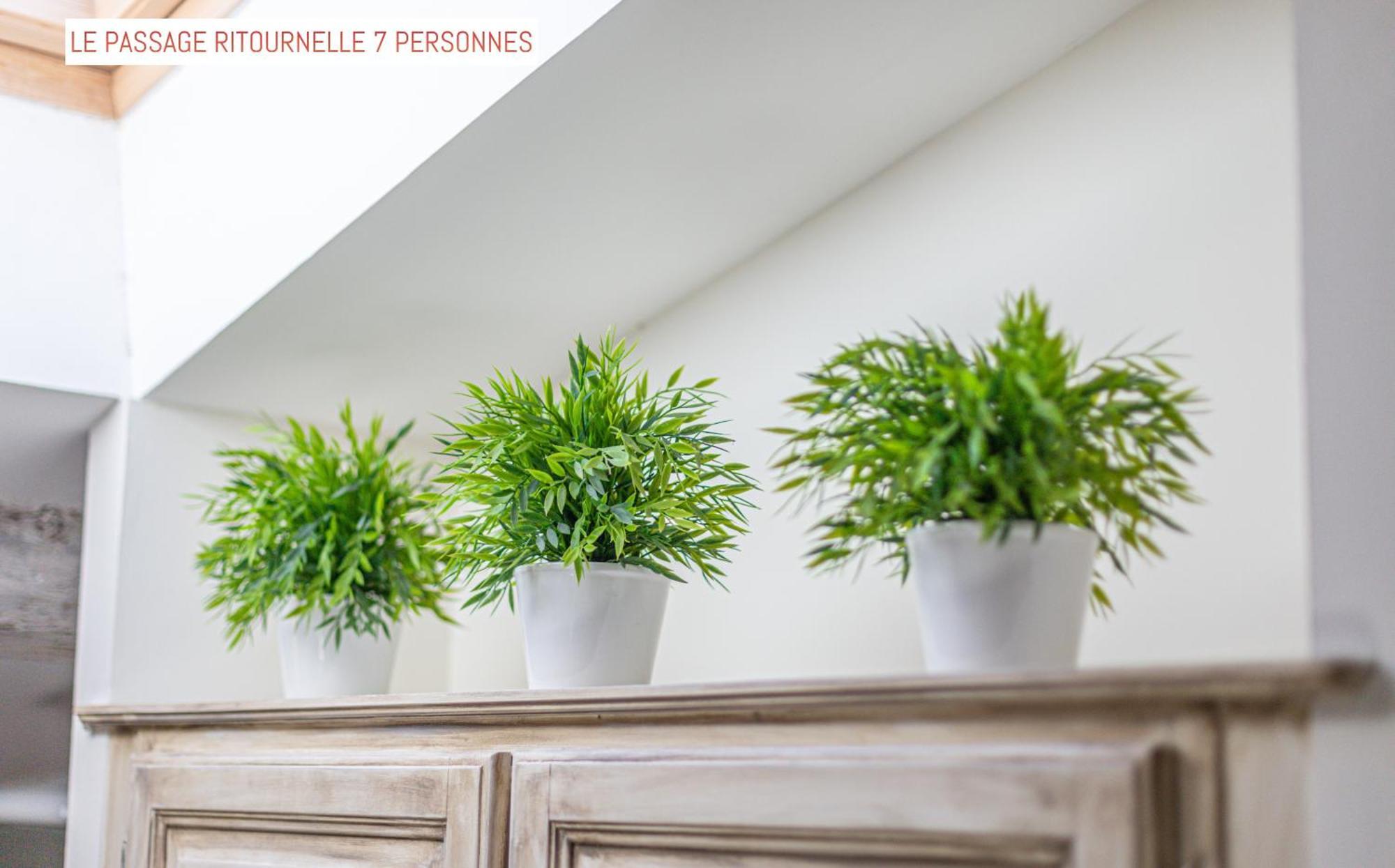 Standaard Appartement