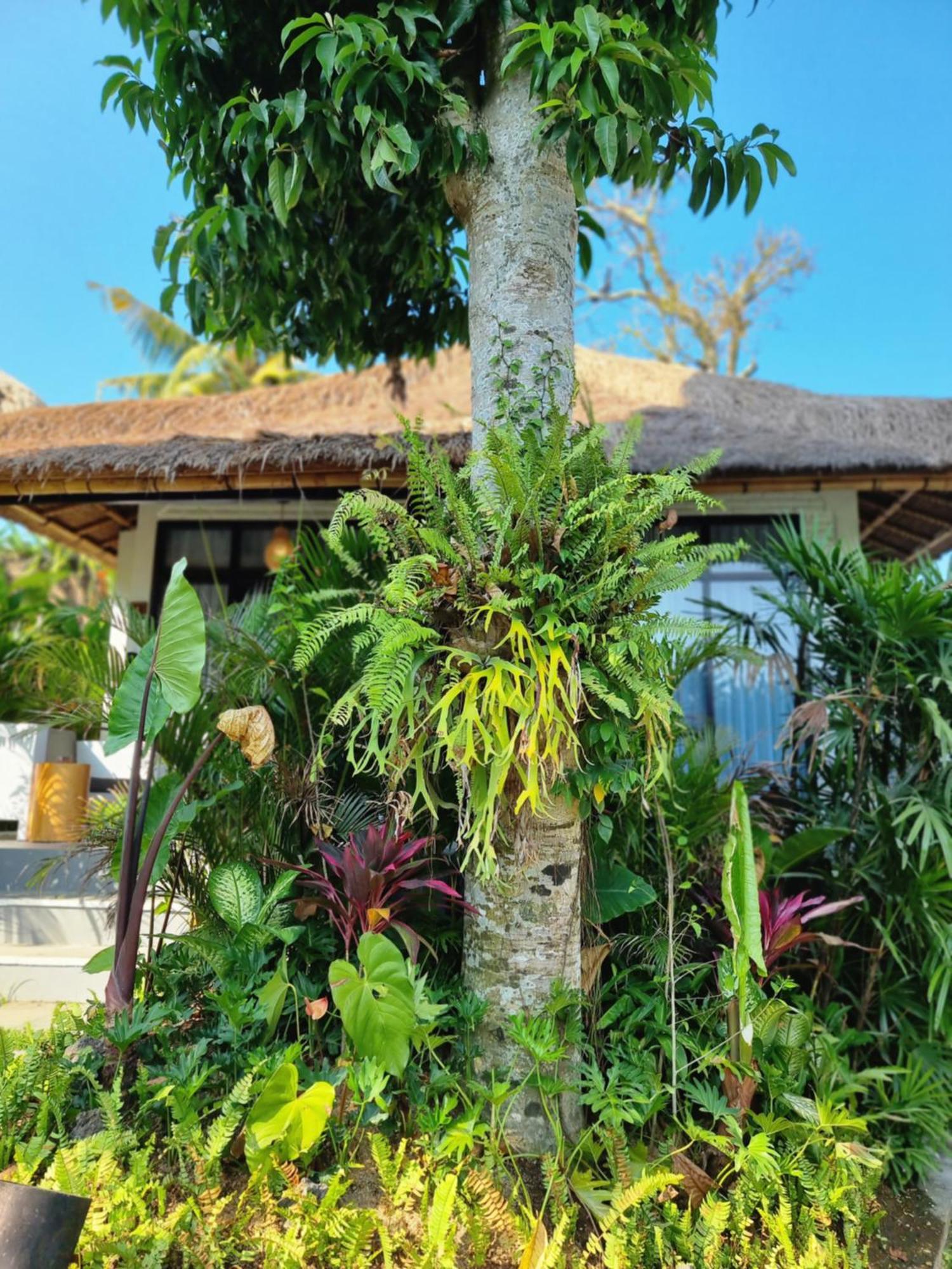 Dedari One-Bedroom Villa