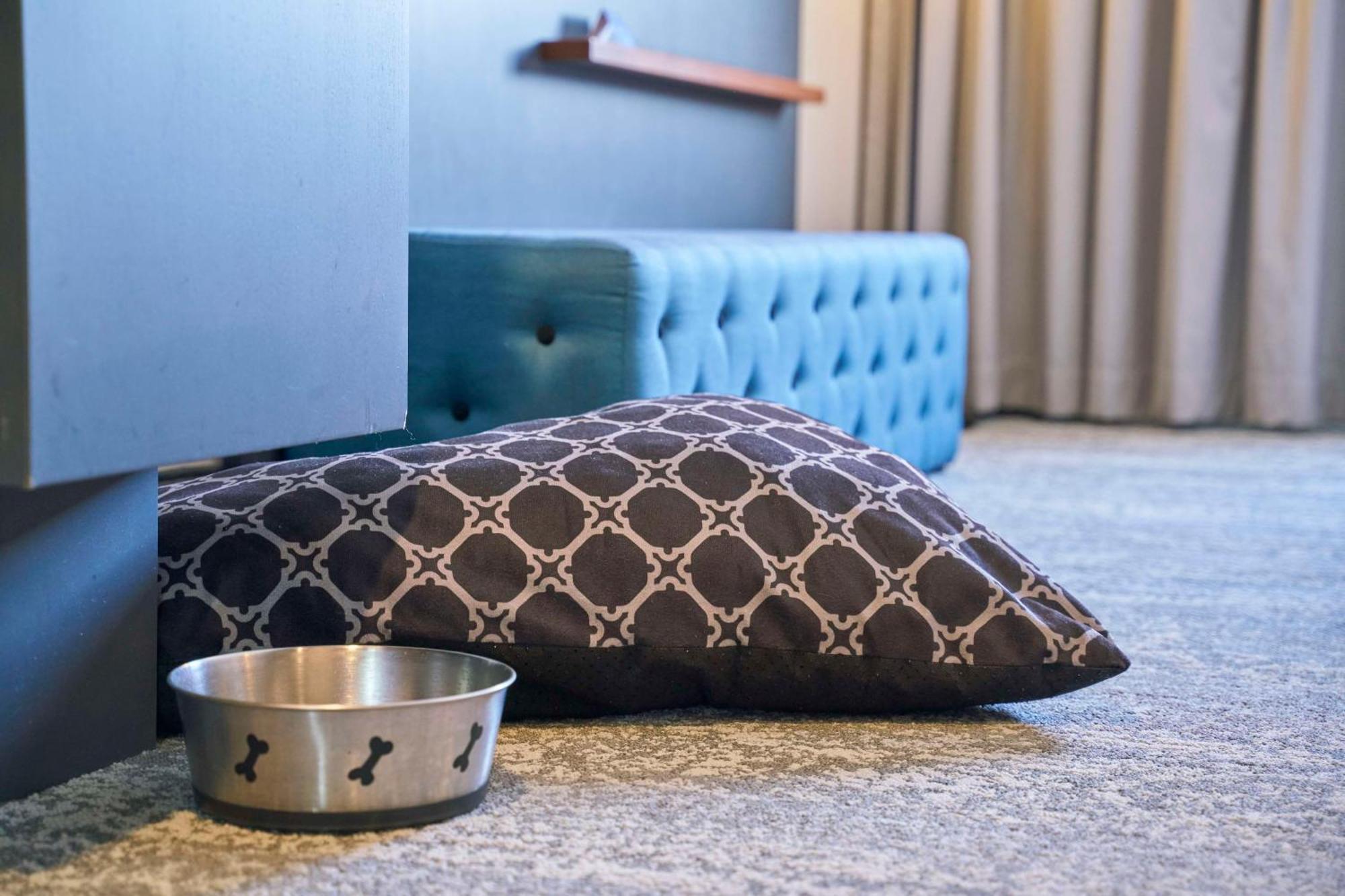 Premium Room - High Floor,1547738947:JPEG