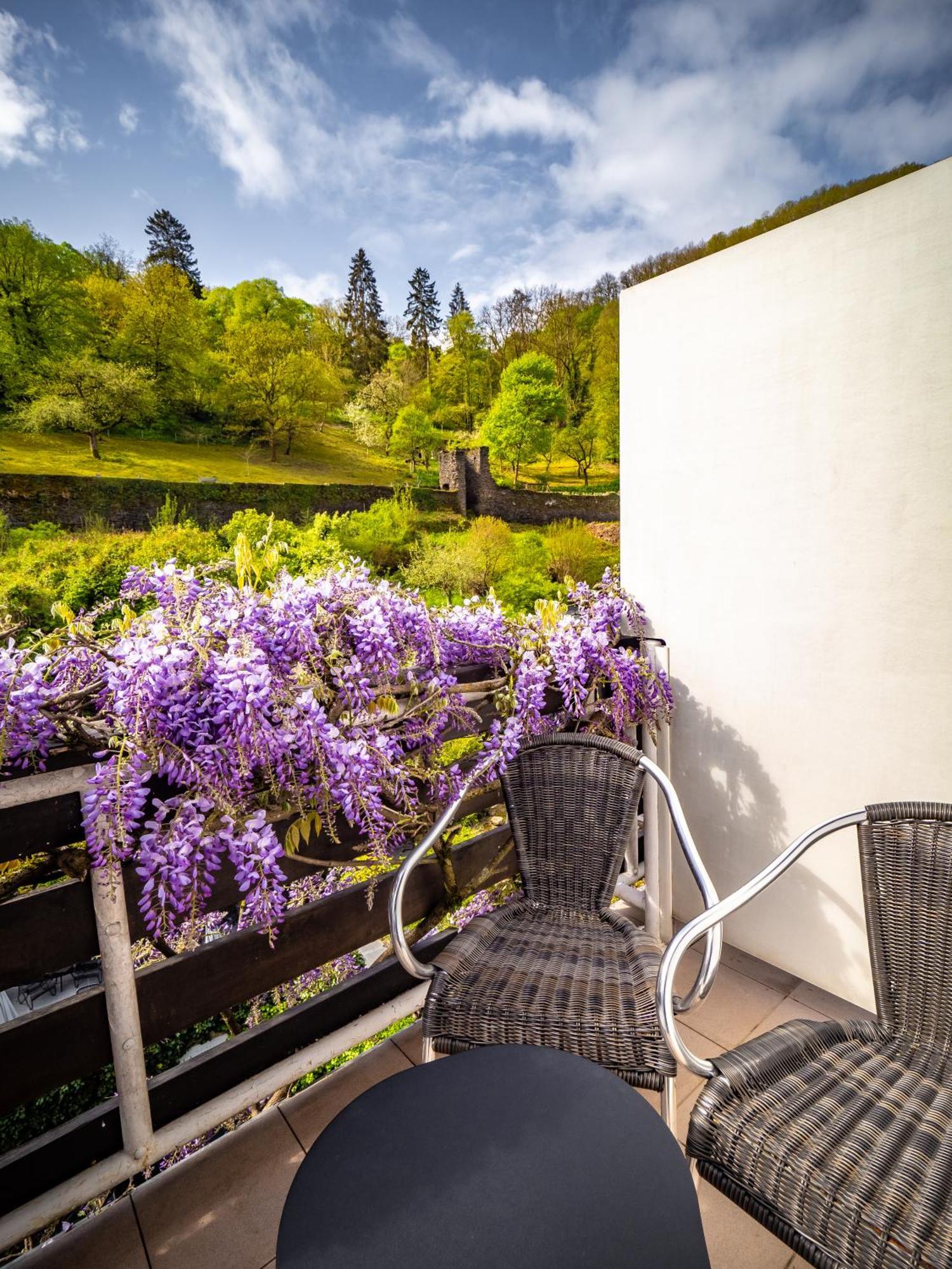 Double Room Garden View Balcony