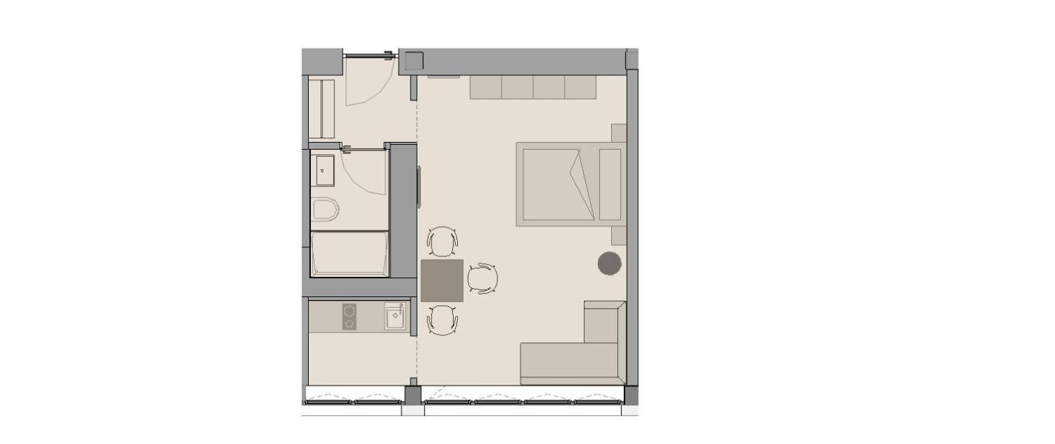 Deluxe Apartment