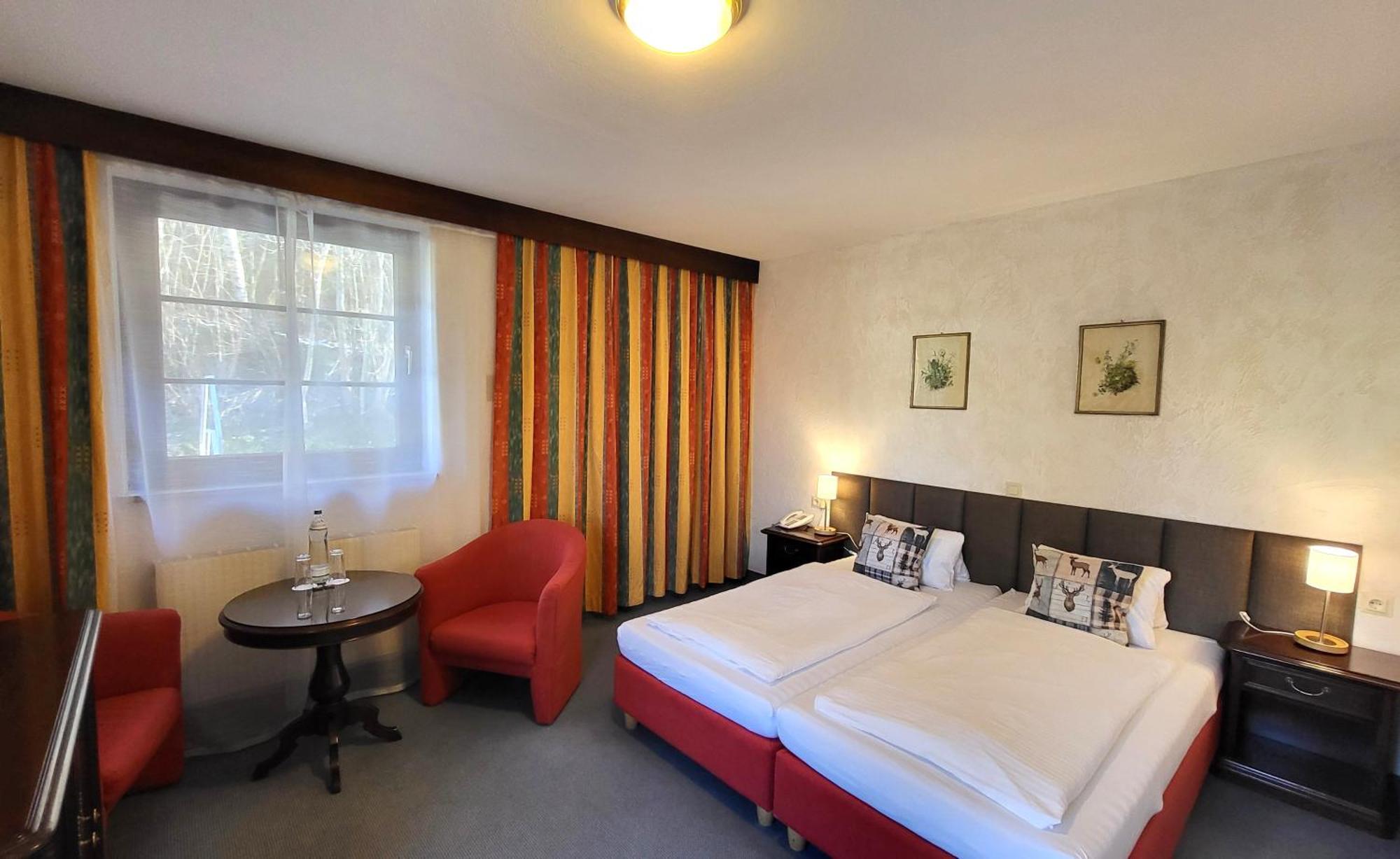 Deluxe Double or Twin Room Mountain View