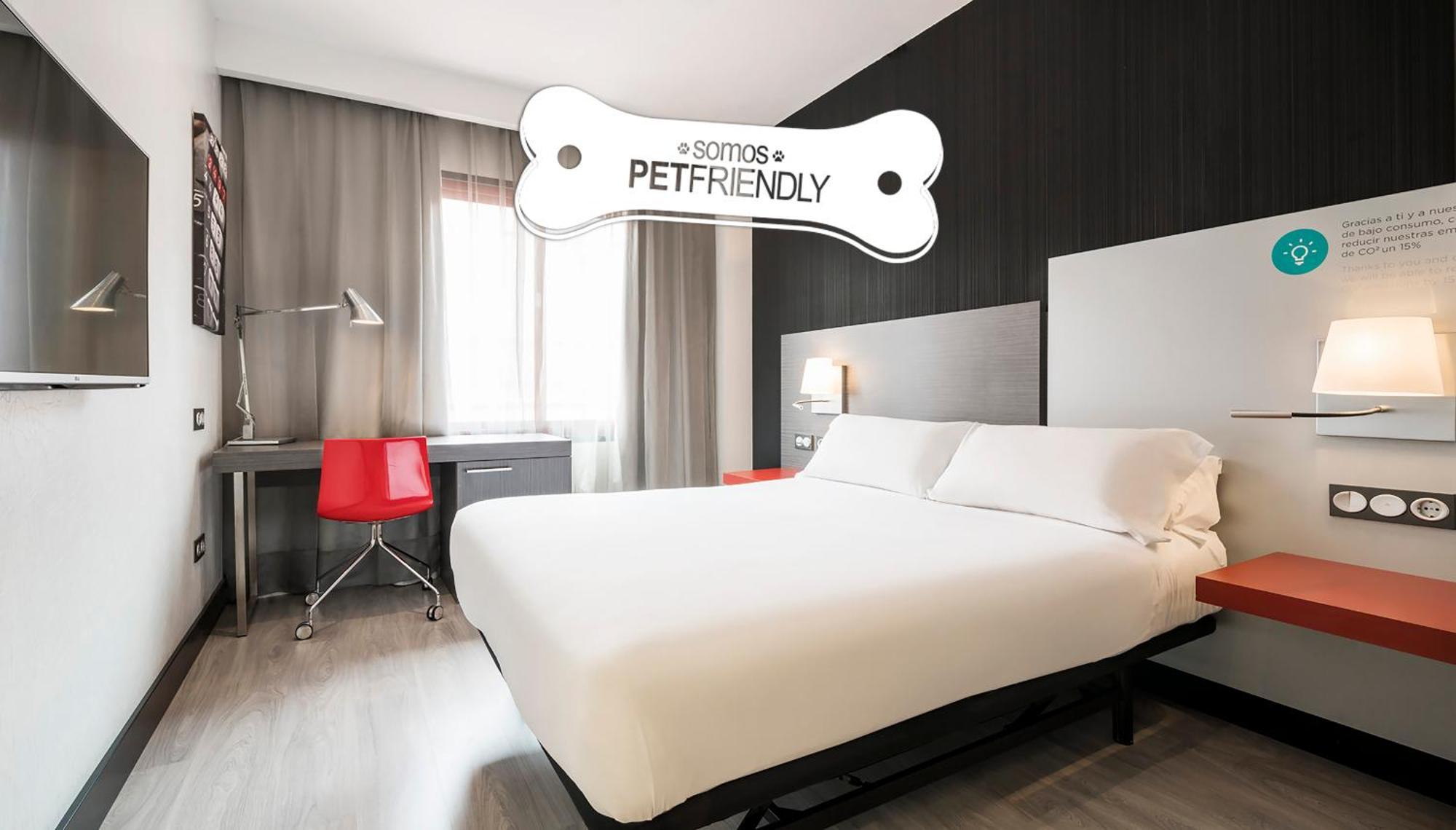 Standard Double Room Pet Friendly