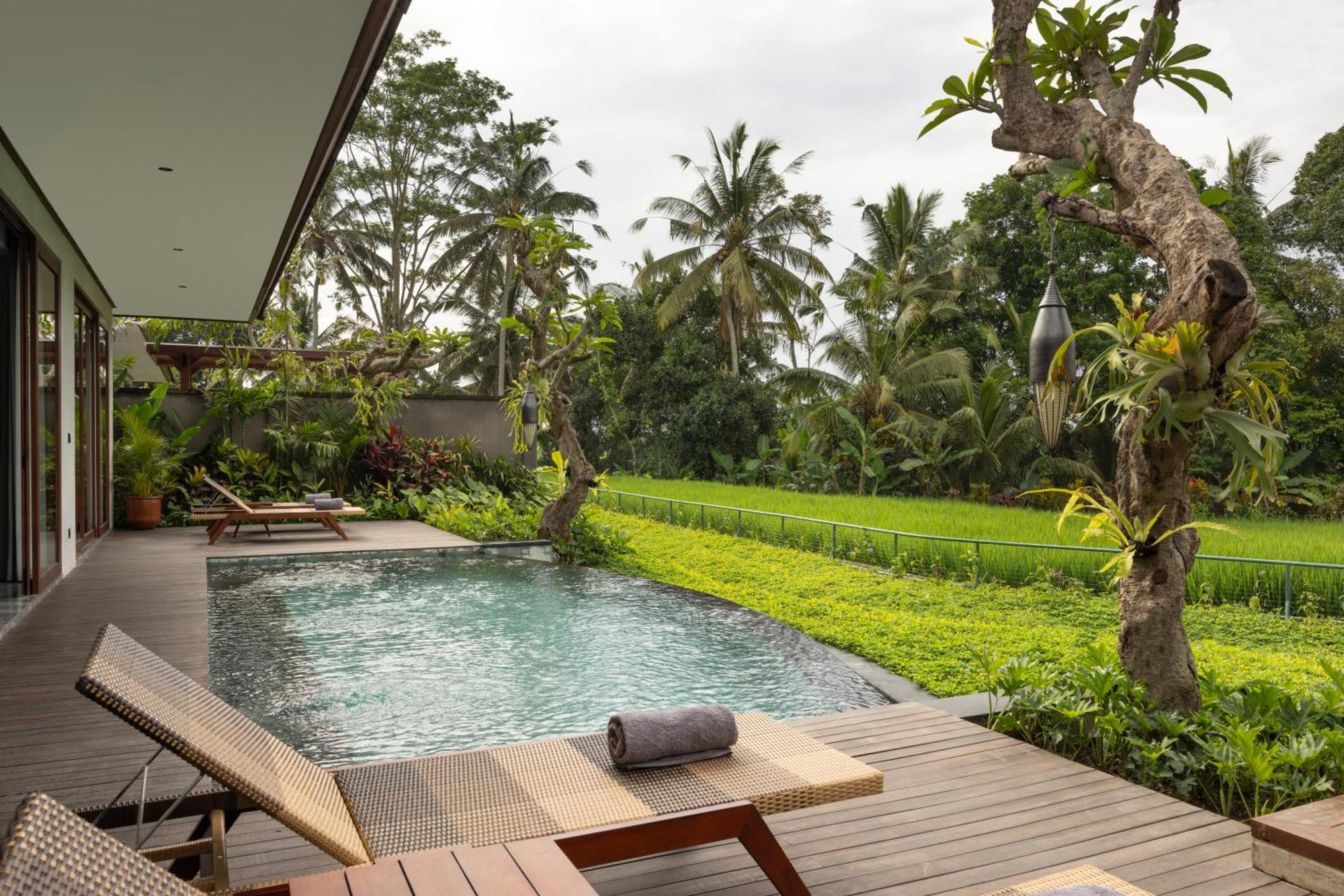 Royal Villa Rice Field View
