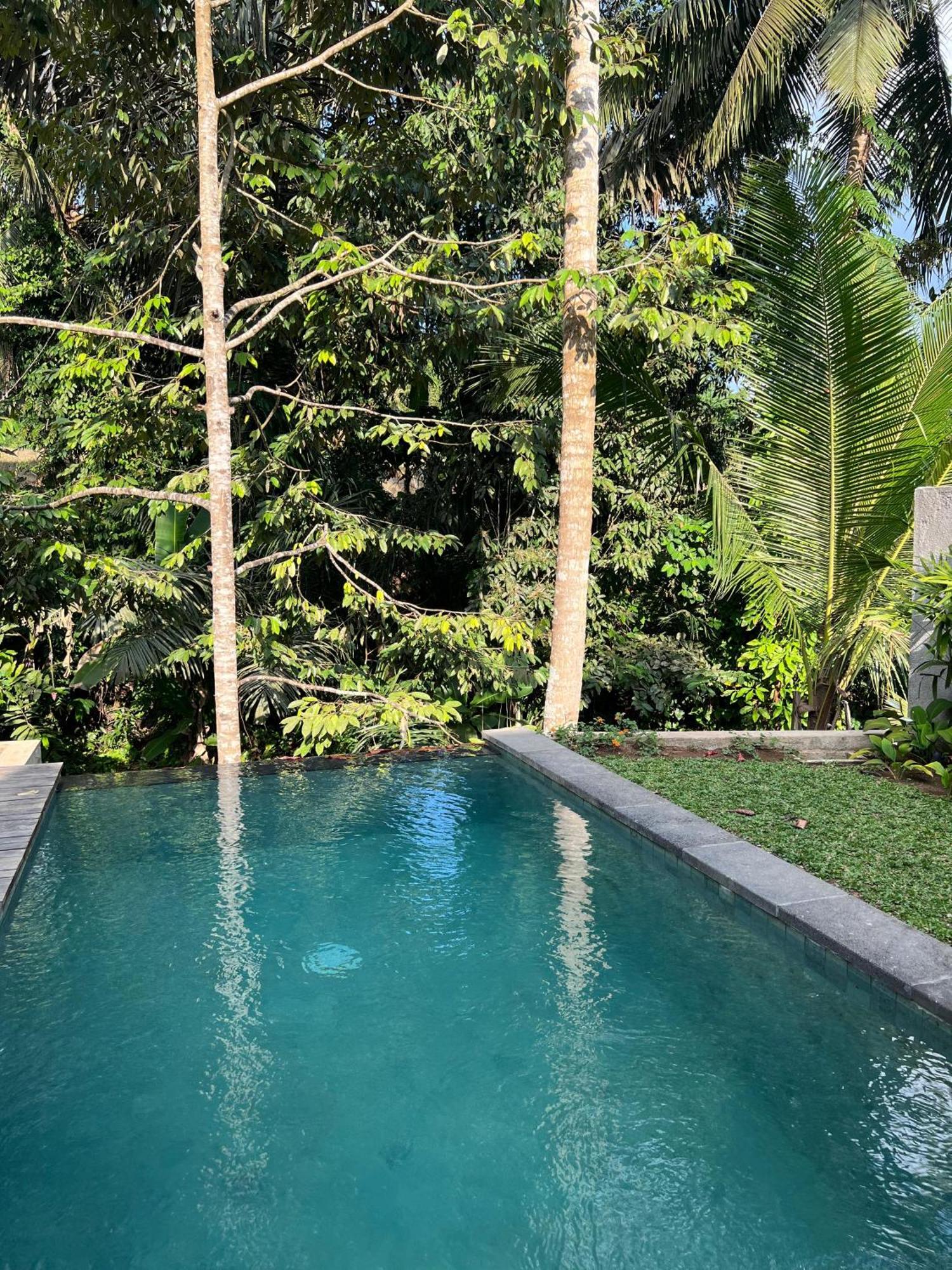 Wooden One-Bedroom Villa Private Pool