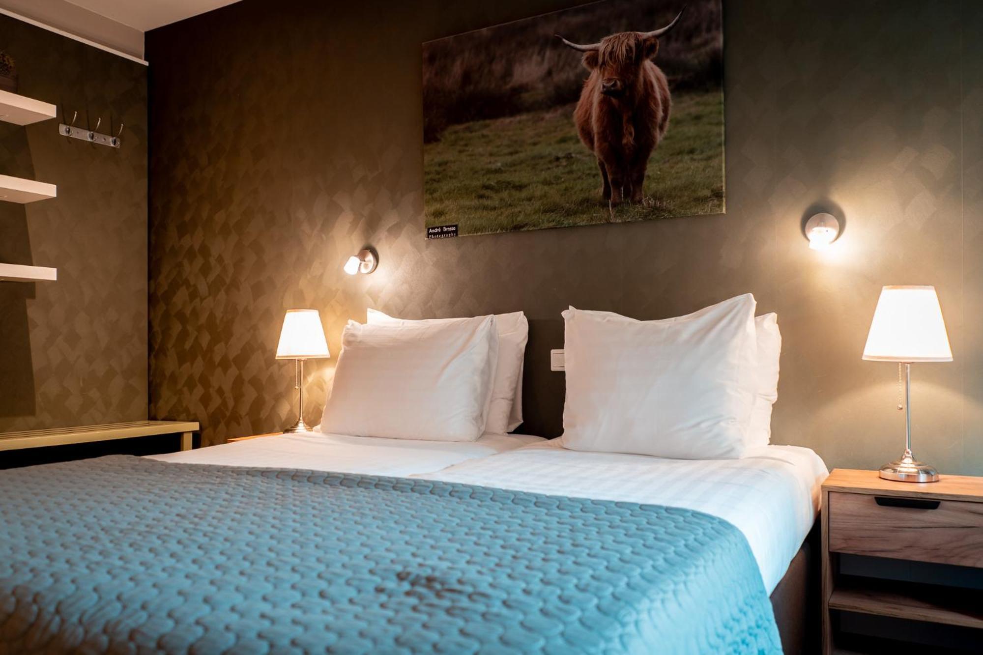 Deluxe Kamer met Kingsize Bed