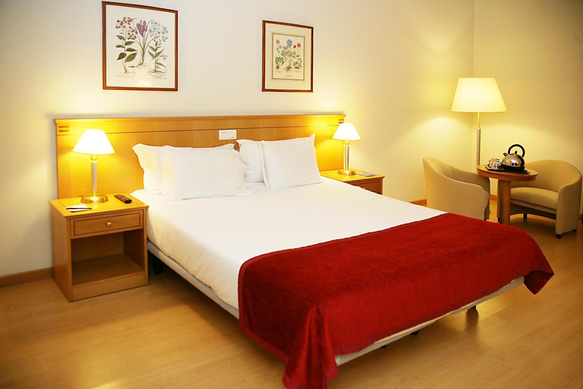 Premium Kamer met 1 Tweepersoonsbed - Rookvrij