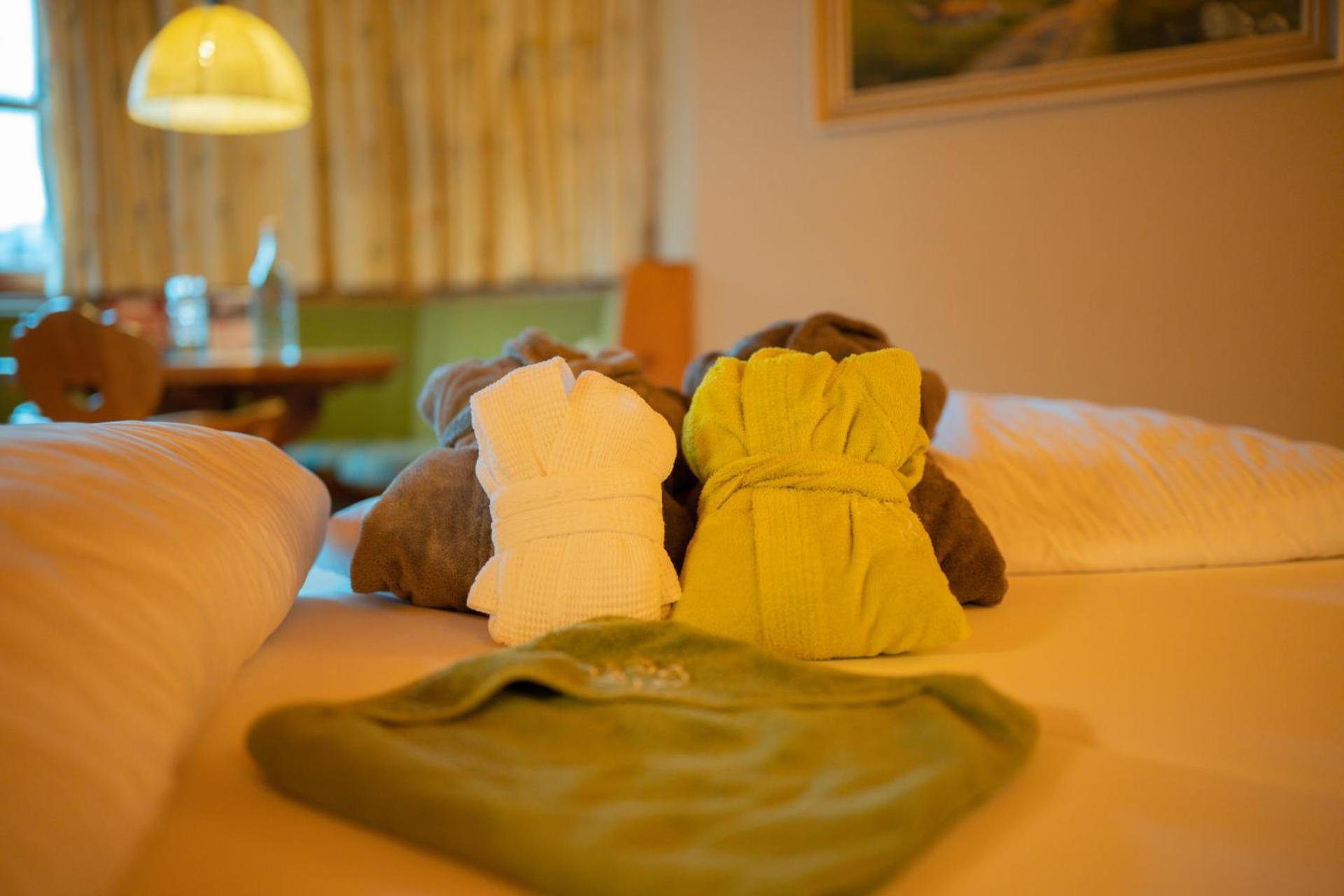 Double Room Mountain View
