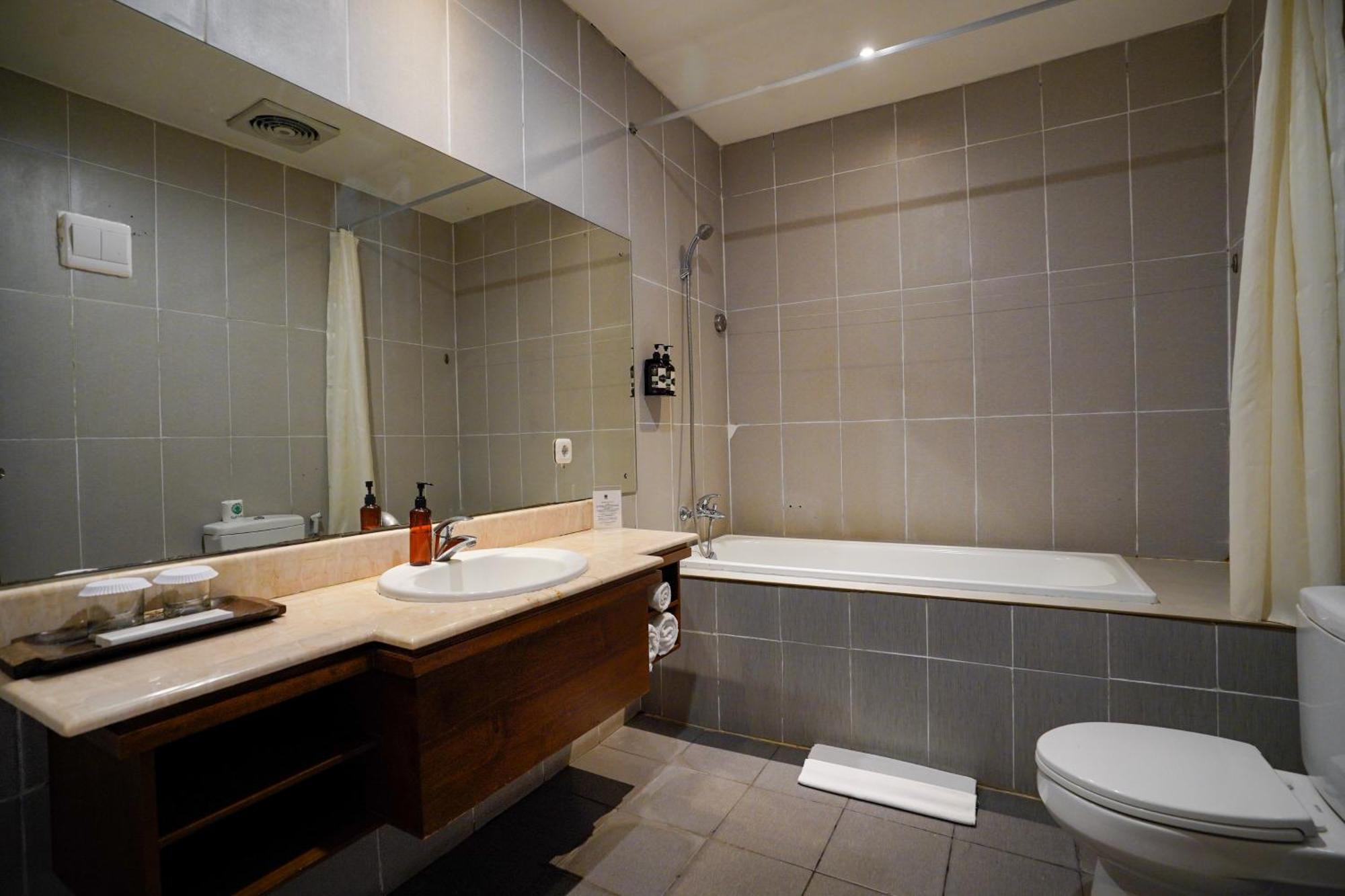 Deluxe Double or Twin Room