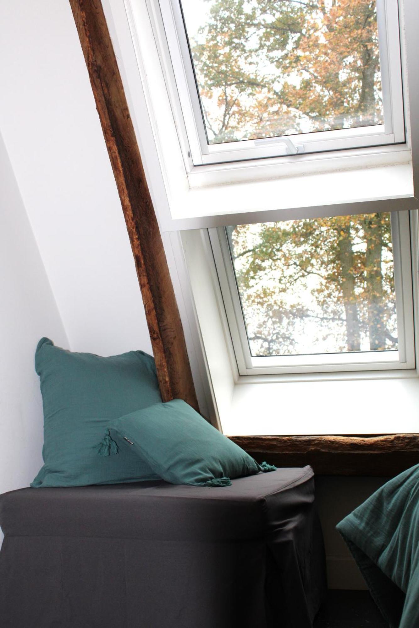 Eenpersoonskamer met Eigen Badkamer en Uitzicht op de Tuin