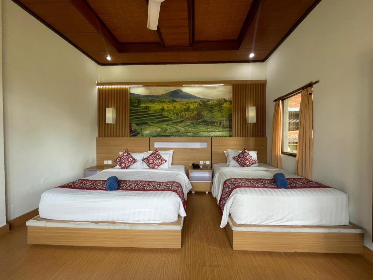Suite Garden View
