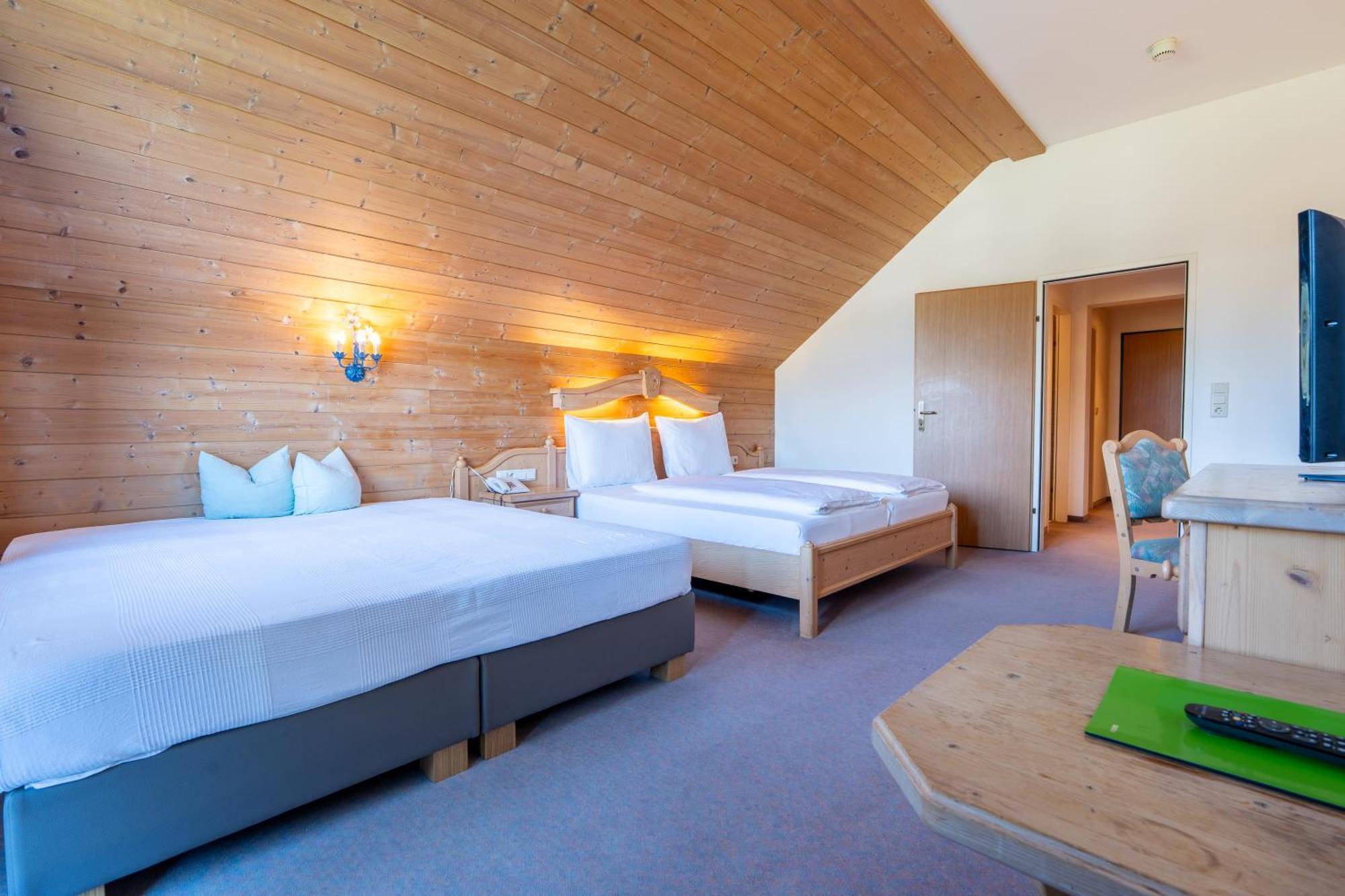 Double Room Mountain View