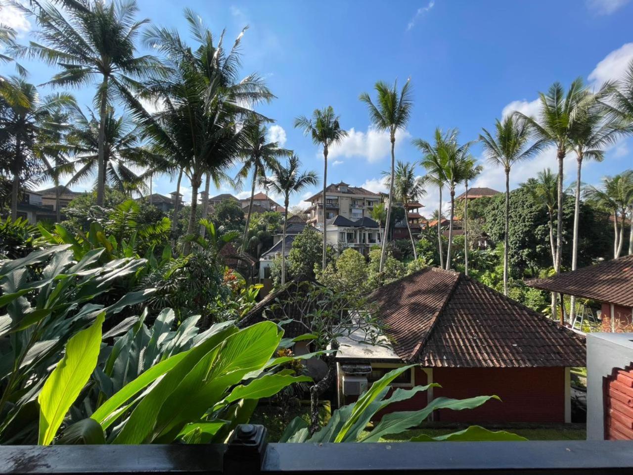 Suite Garden View