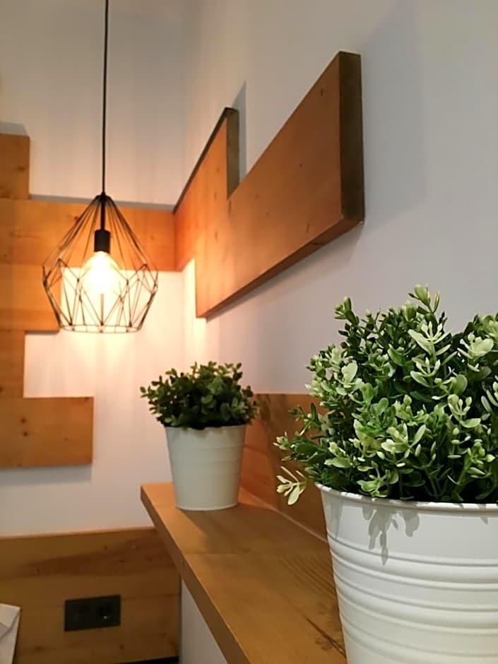 Budget Single Room