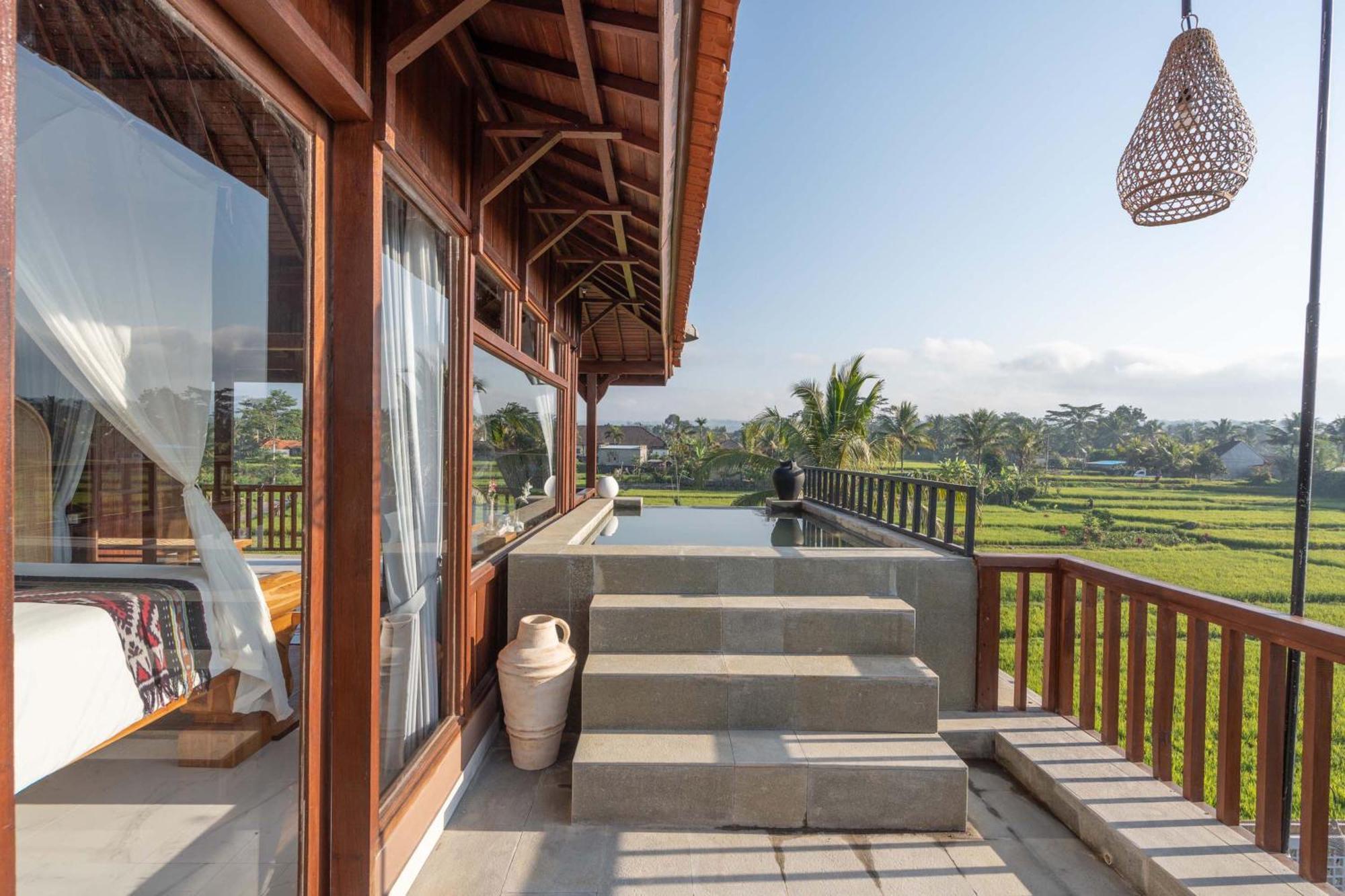 Suite Plunge Pool Rice Field View