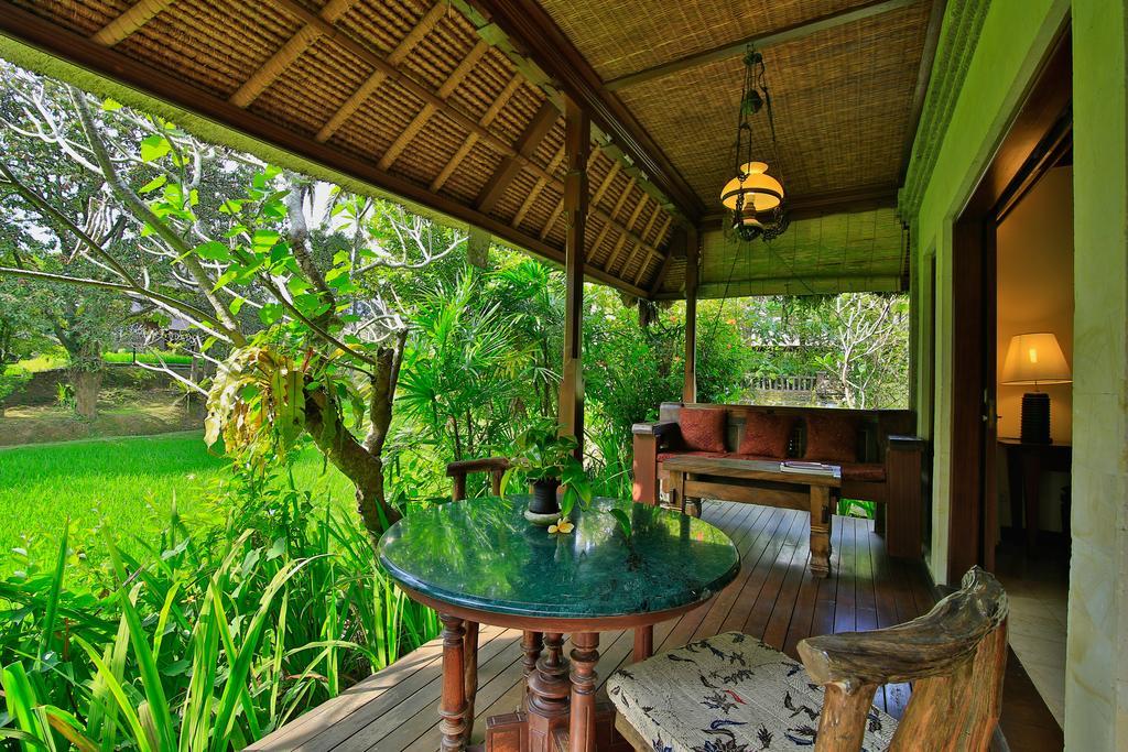 Villa Rice Field View