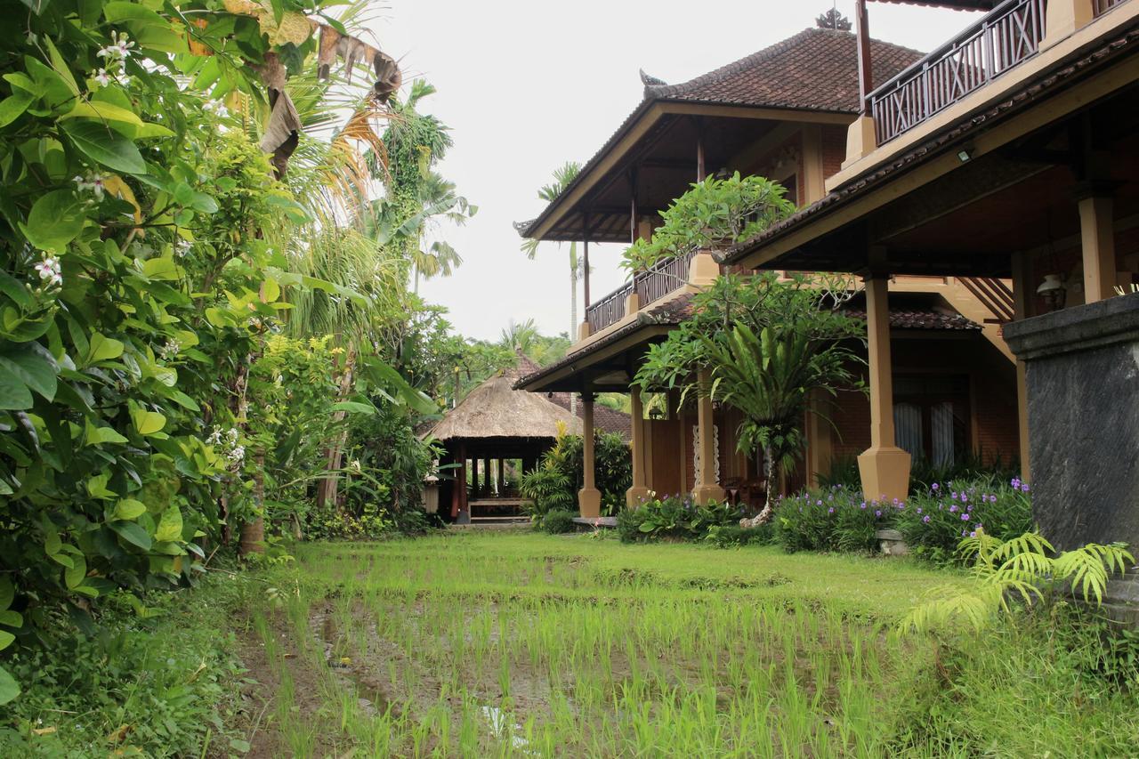 Superior Balcony Cottage