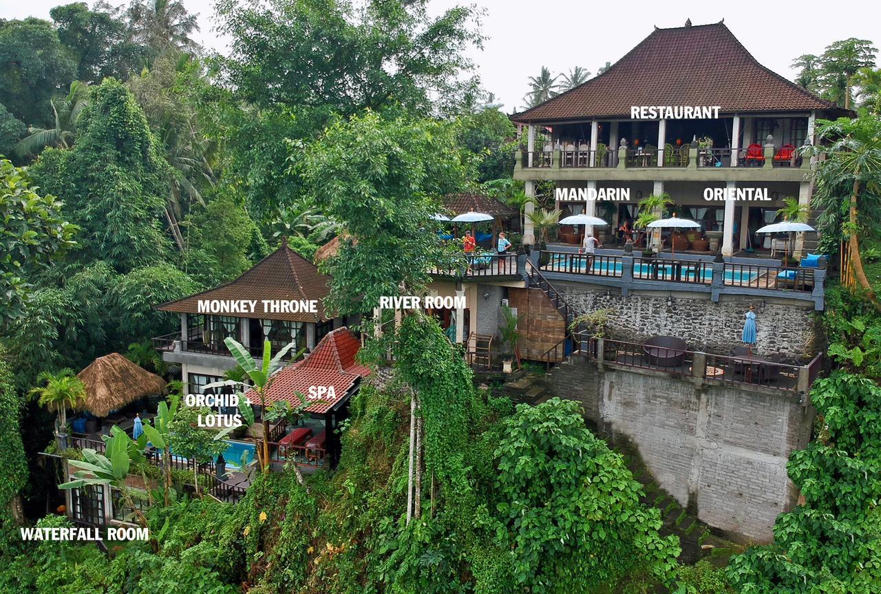 Suite River View