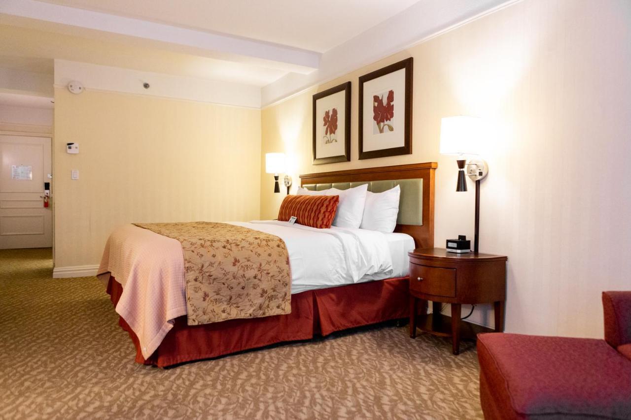 Deluxe Kamer met Kingsize Bed