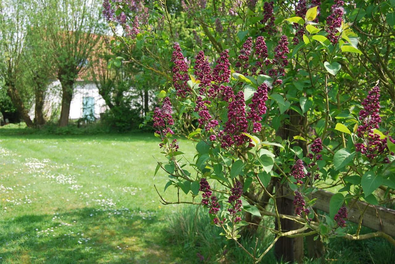 Double or Twin Room Garden View