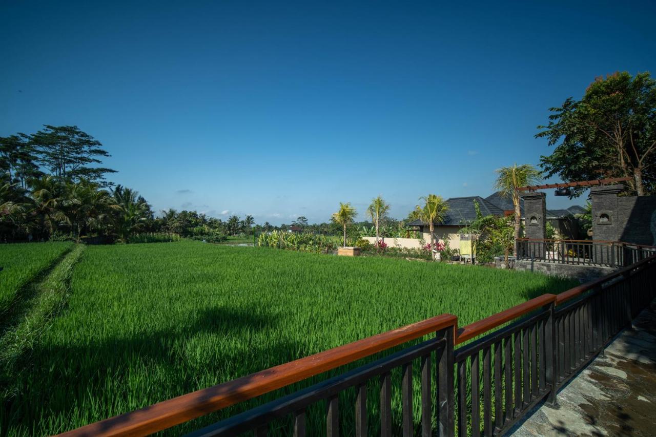 One Bedroom Private Pool Villa Rice field View