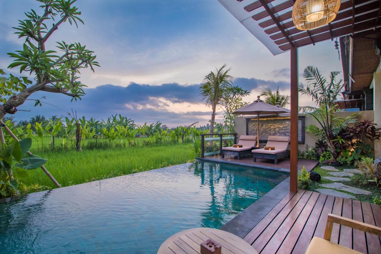 One Bedroom Private Pool Villa Rice field View