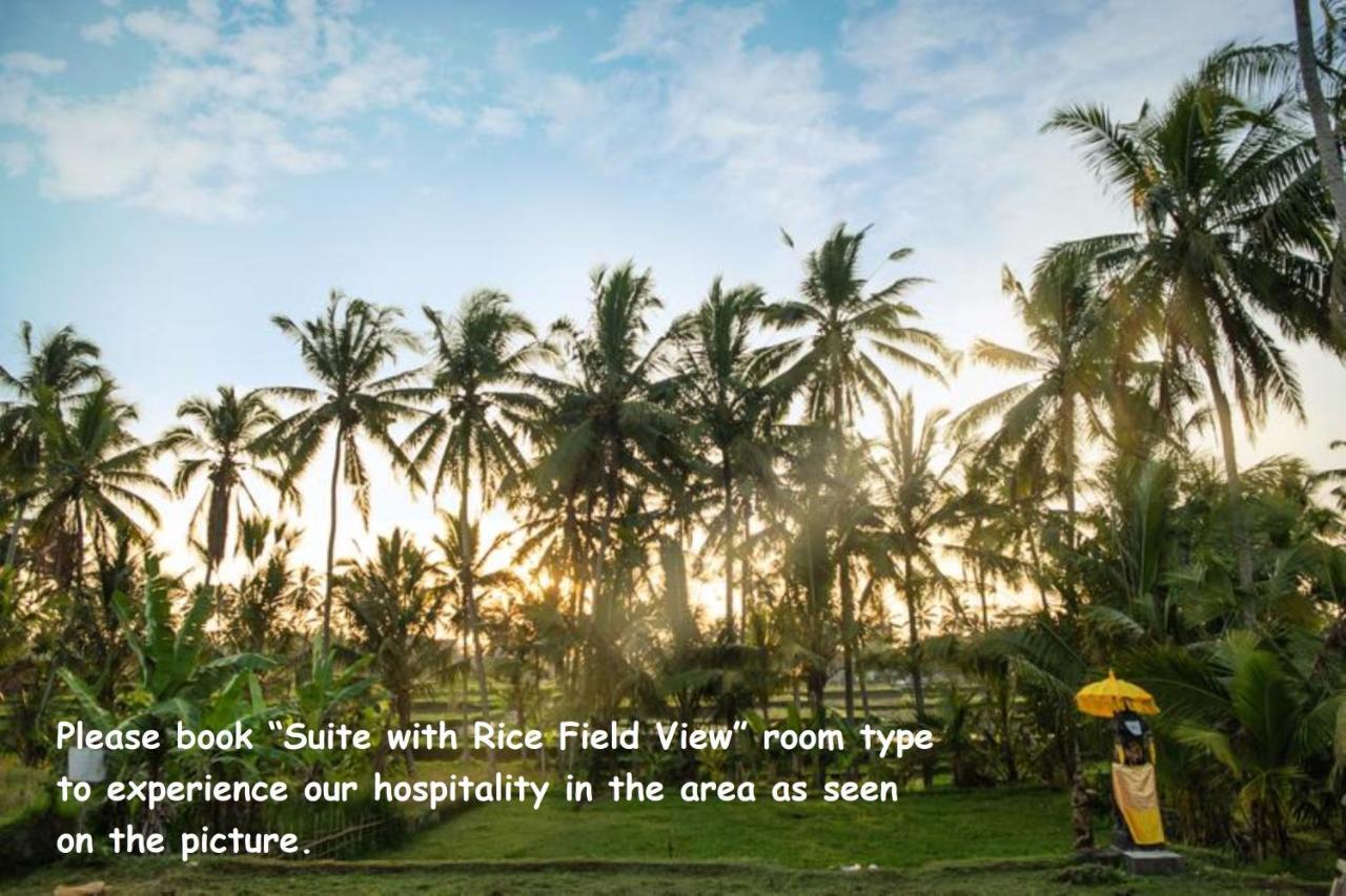 Suite Rice Field View