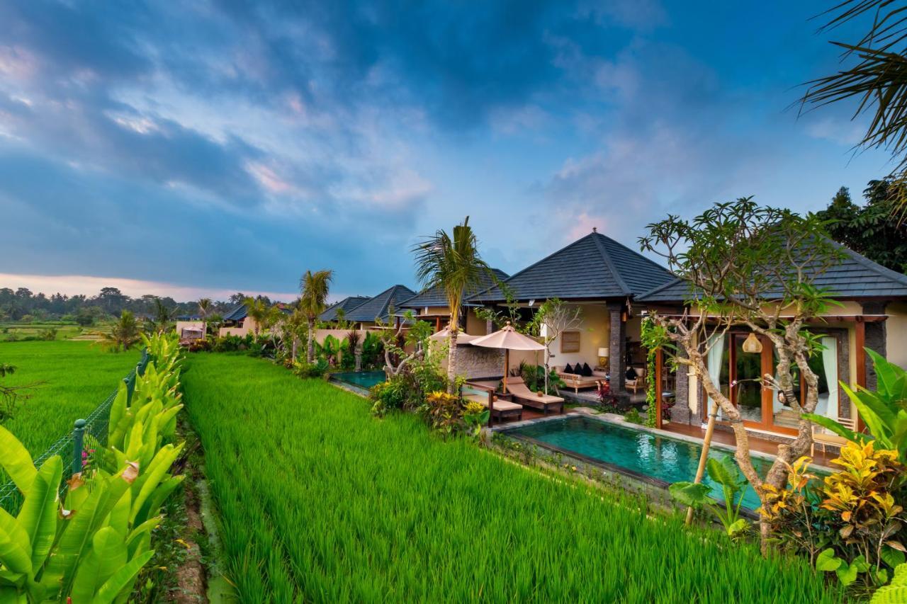 One Bedroom Private Pool Villa Rice field View