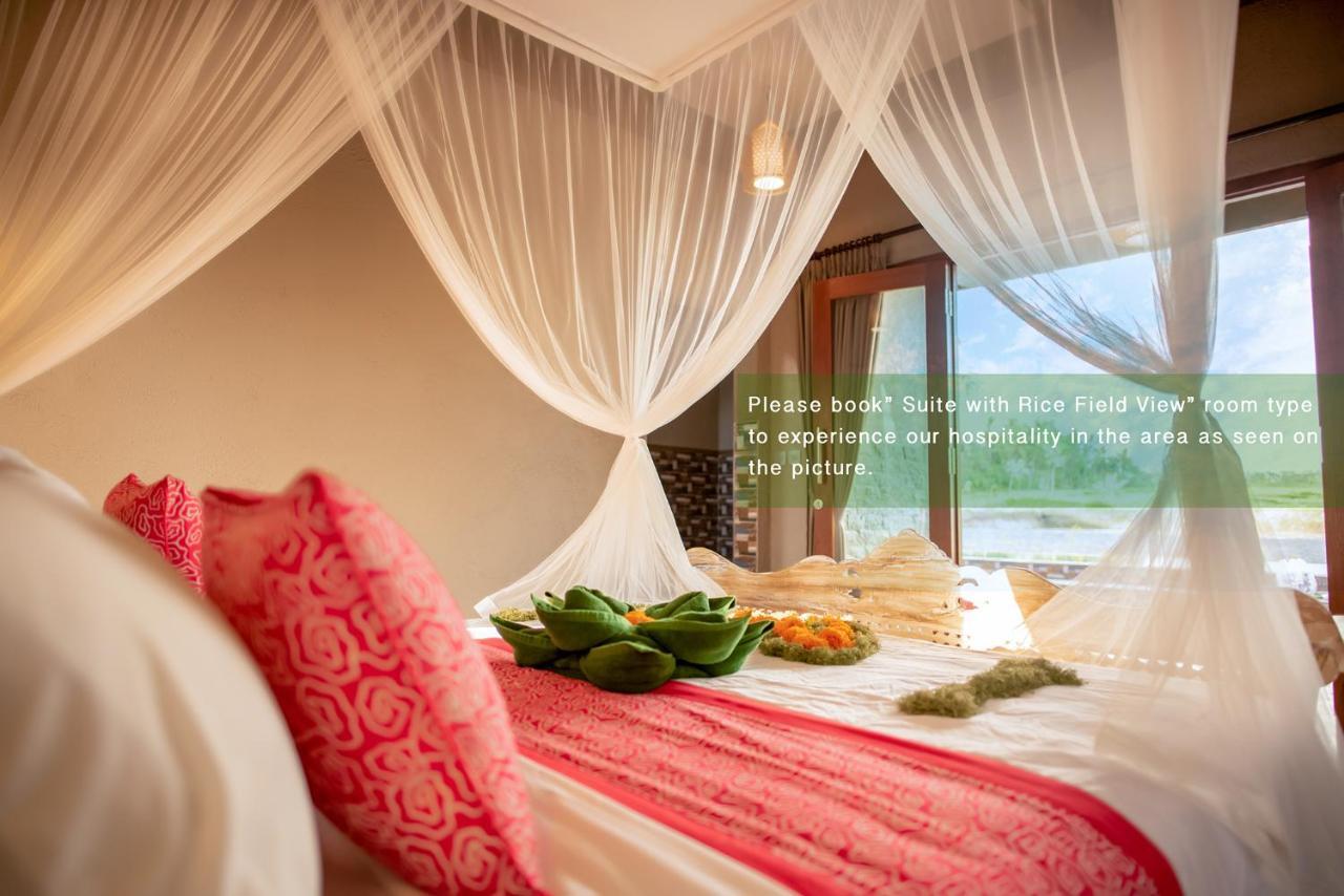 Suite Rice Field View