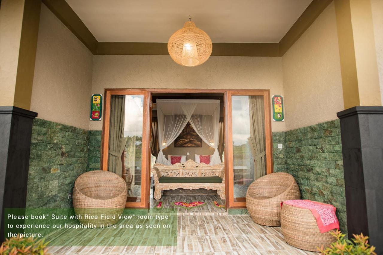 Suite Rice Field View