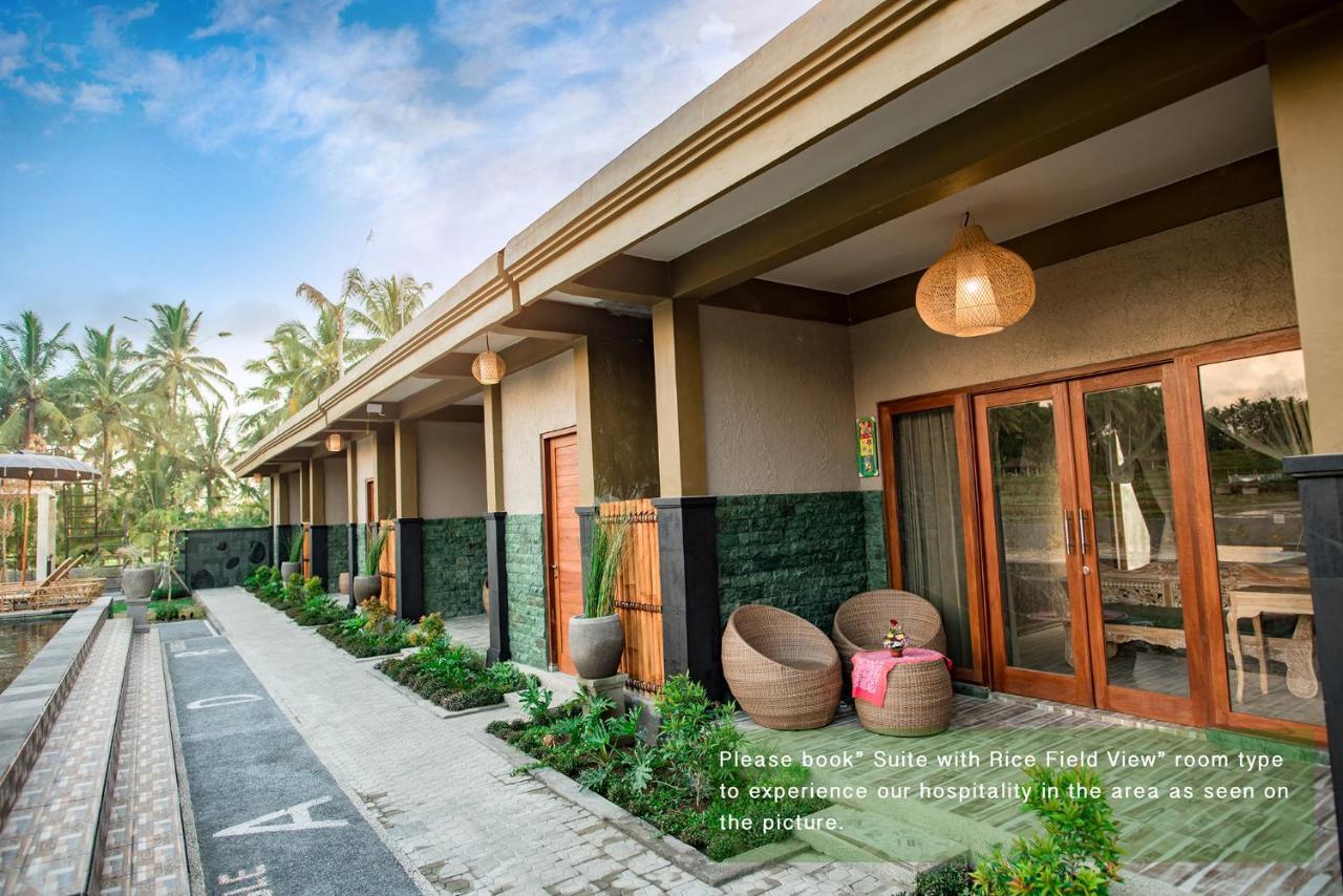 Suite Rice Field View