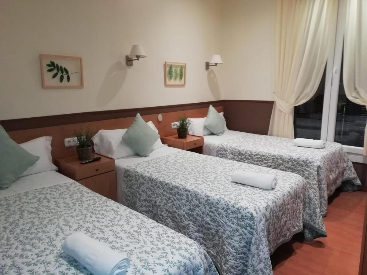 Triple Room 3 beds