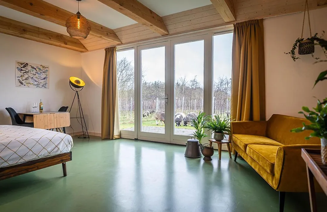 Wijngaard de Kroon van Texel-1
