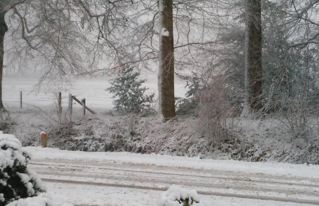 Anna's B&B Rijssen-1