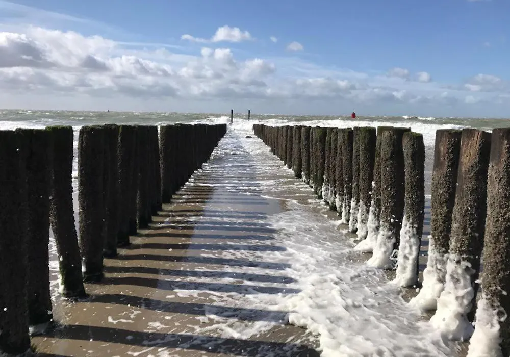 Duinvilla Aan de Zee B&B-1