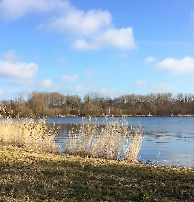 Haarlem 49-1