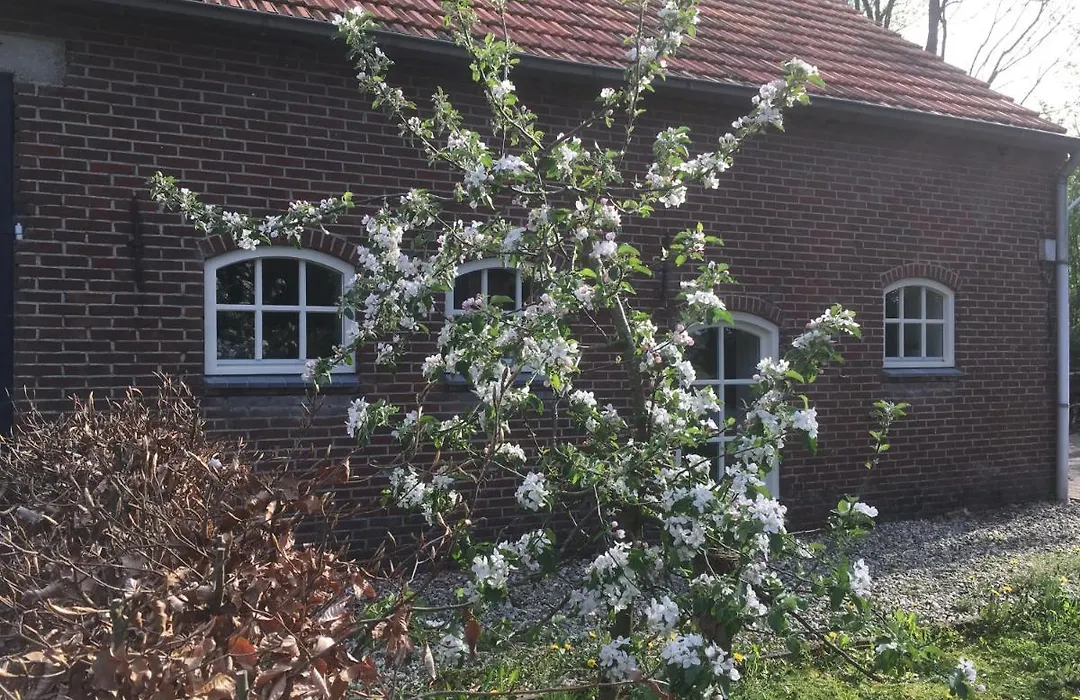B&B bij Bedaf-1