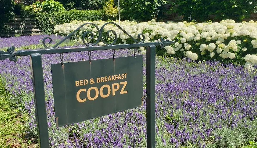 Bed & Breakfast Coopz-1