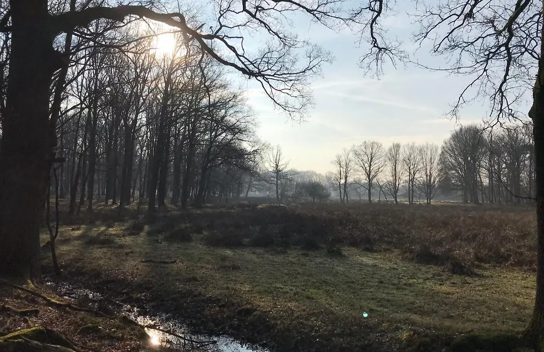 De Kempse Hoeve B&B-1
